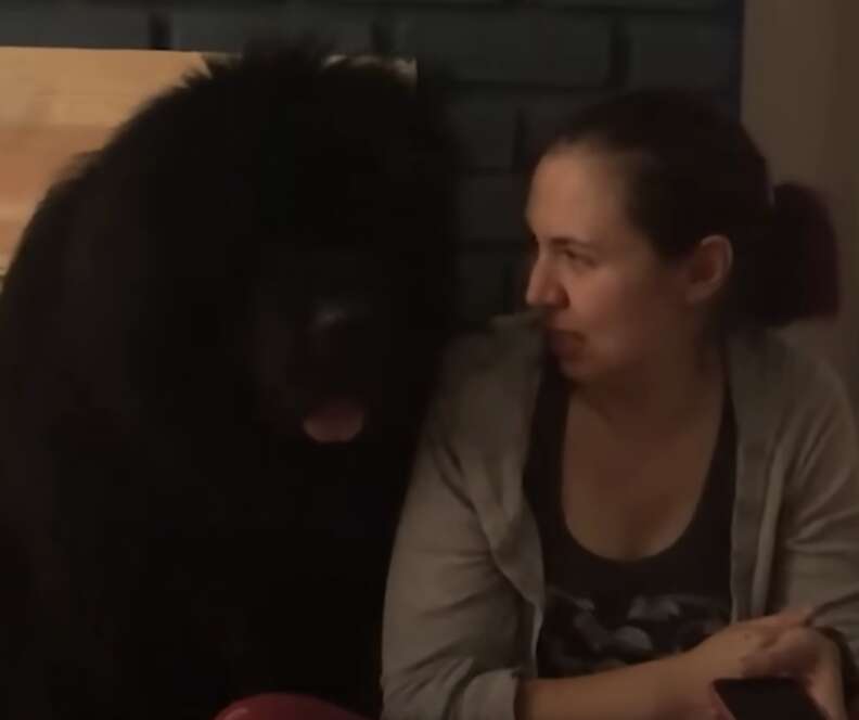 woman and dog 