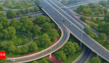 UAE: Who’s behind Dubai’s massive 300,000-tree plantation project and how much did it really cost? | World News