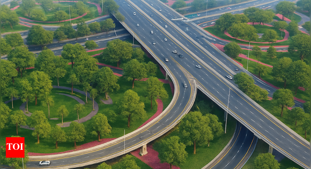 UAE: Who’s behind Dubai’s massive 300,000-tree plantation project and how much did it really cost? | World News