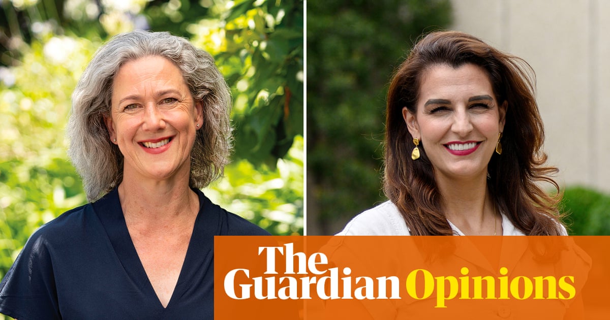 Decoding a voter’s poor handwriting is subjective – let’s enlist AI to help with the Bradfield recount | Simon Jackman