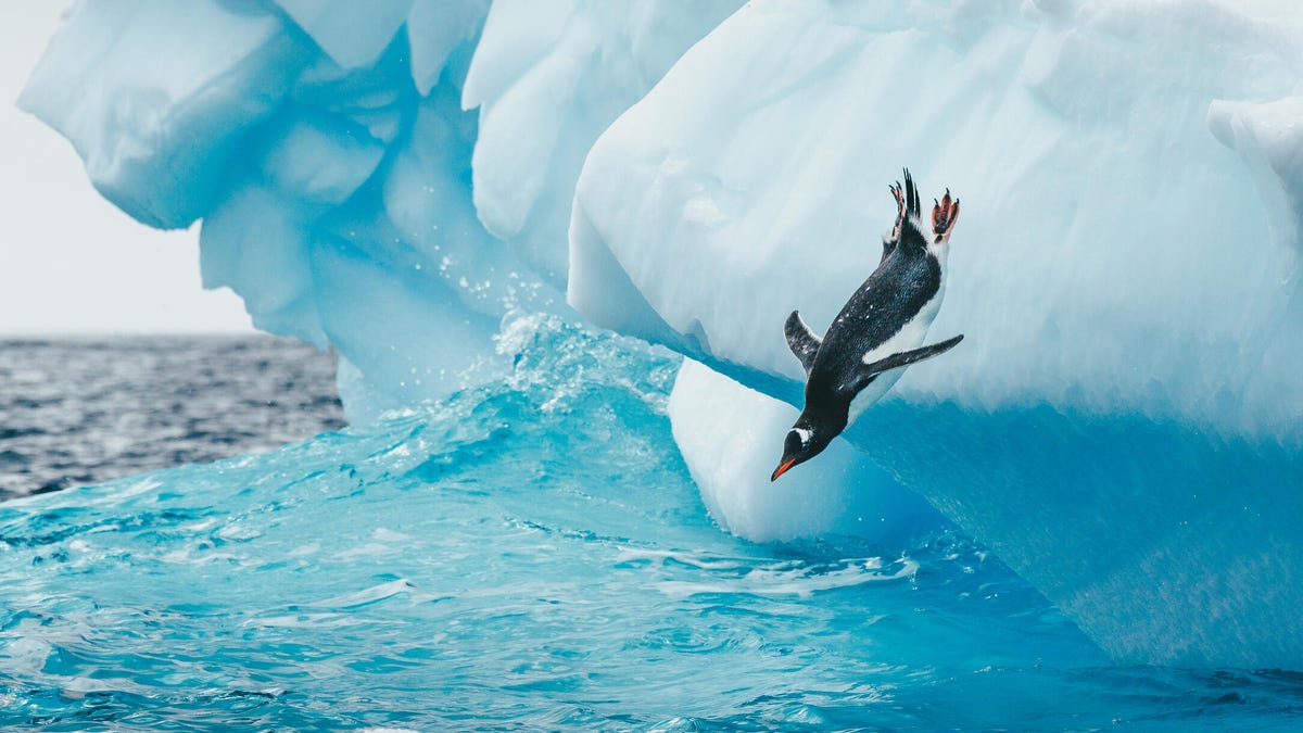 Slow internet speed on Linux? This 30-second fix makes all the difference