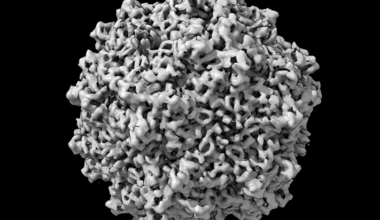 Study Highlights Need for Standardized Measurement Methods in Gene Therapy