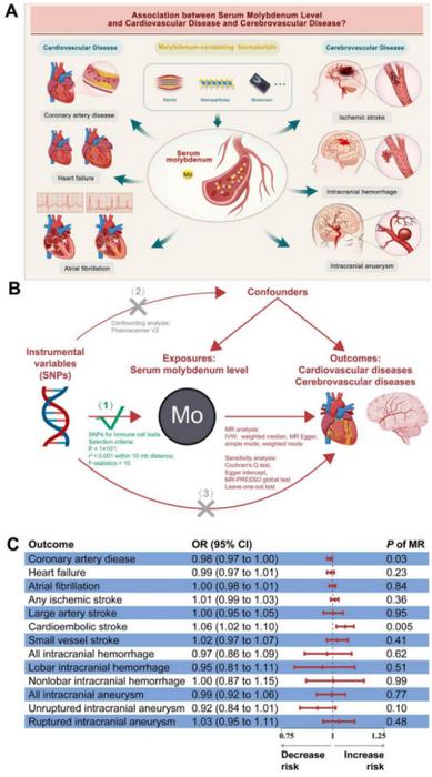 Gene-based safety evaluation of molybdenum-containing biomaterials for cardiovascular and cerebrovascular diseases.