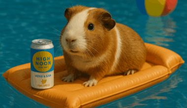 340B vs. Patients, Humira Whiplash, Accumulator Fallout, and Pharmacy Struggles