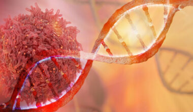 Common hereditary cancer mutation in Quebec traced to single ancestor