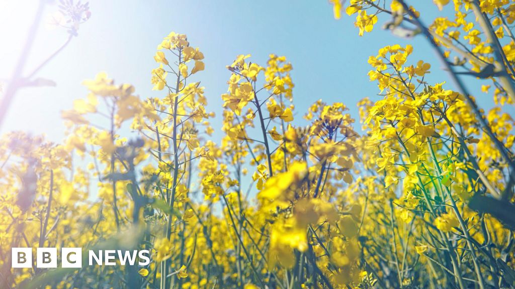 NHS staff being trained to use outdoors for treating patients