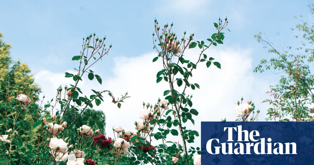 Death and the Gardener by Georgi Gospodinov review – how it feels to lose a father | Fiction