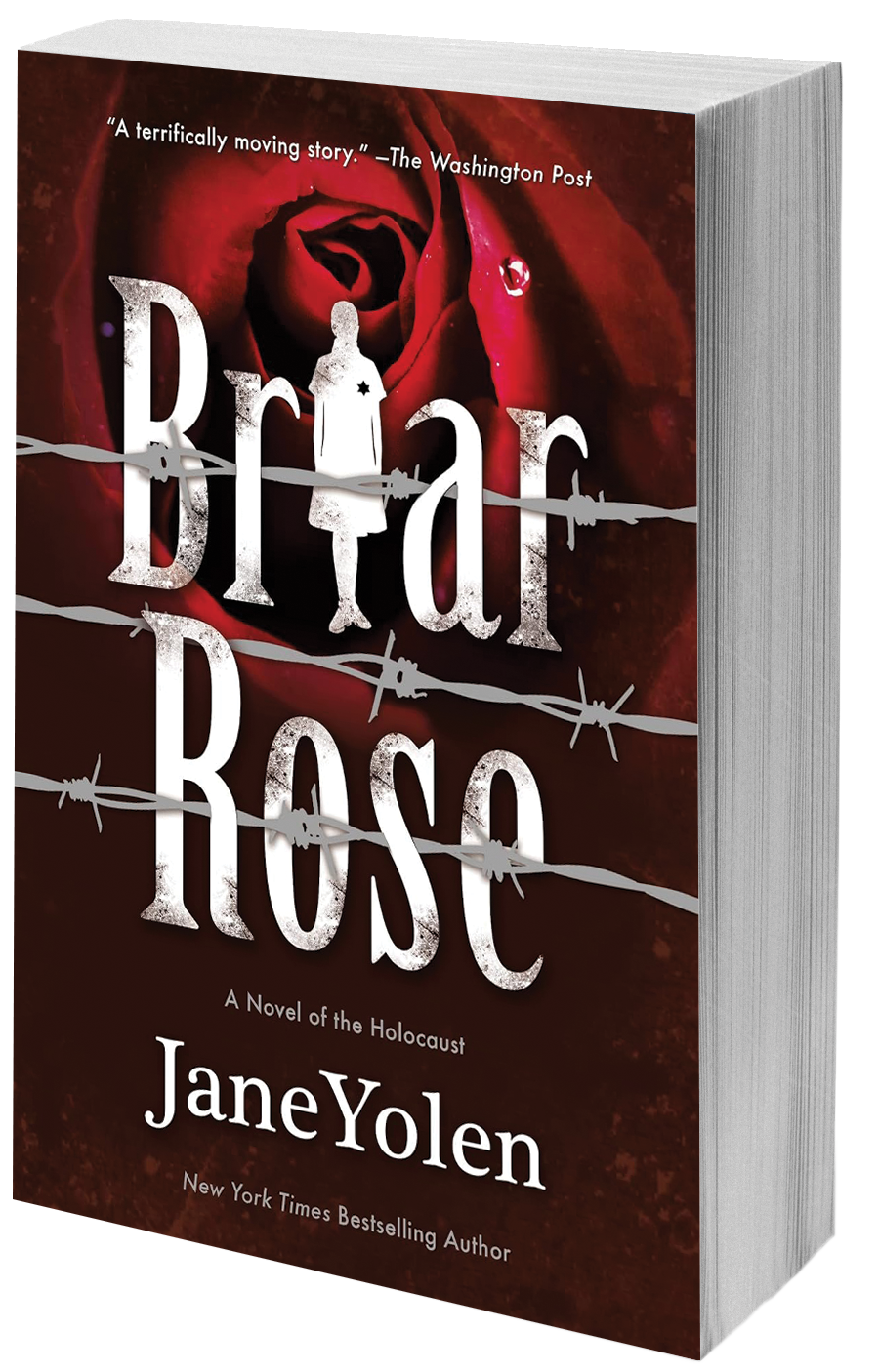 book cover girl behind barred wire