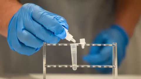 Finnbarr Webster/Getty Images A lateral flow Covid test is processed in a lab in Portsmouth, England, on  22 February, 2021.   in a close up, a man wearing blue medical gloves squeezes droplets into a small plastic test tube on a plastic rack 