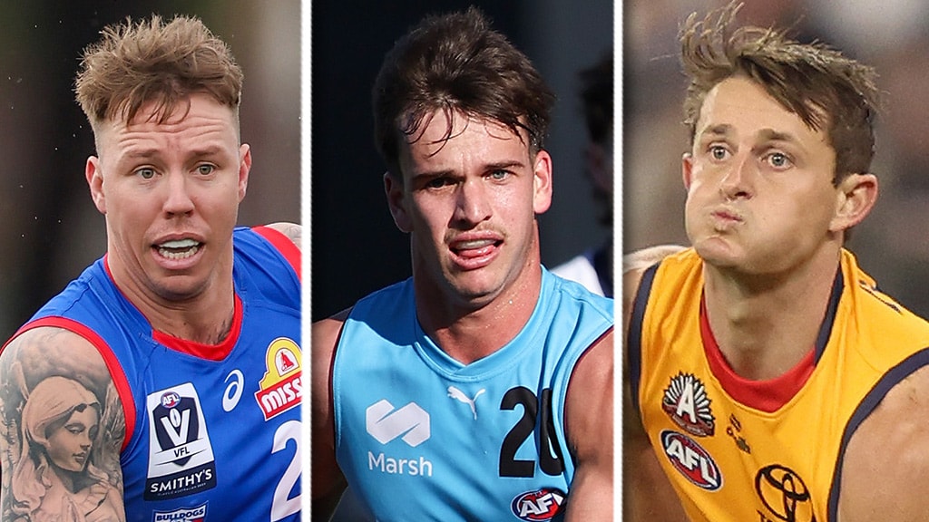 Dog's day out, Lions prospect stars, Crow fires