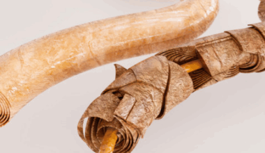 Social Card Image Featured