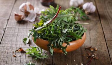 Israeli nutrition experts debunk food myths