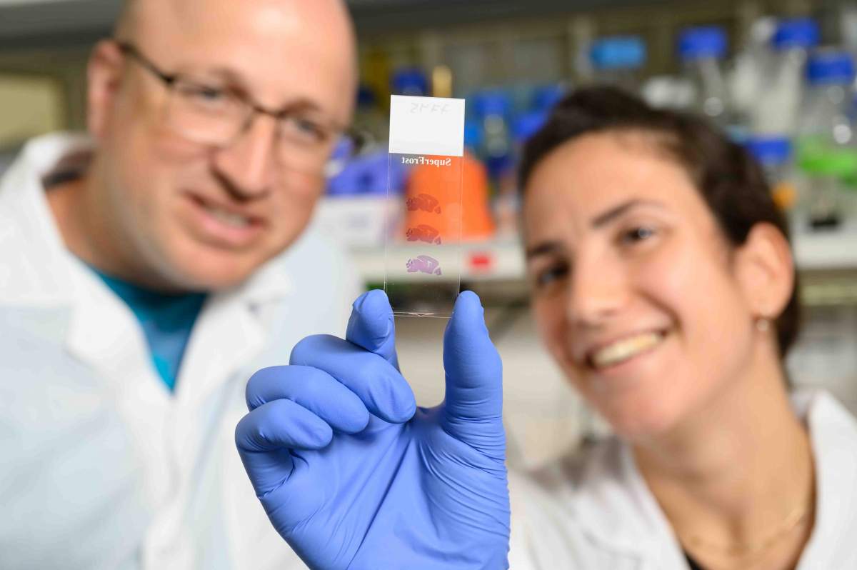 (l-r) Prof. Igor Ulitsky and Yael Sarusi