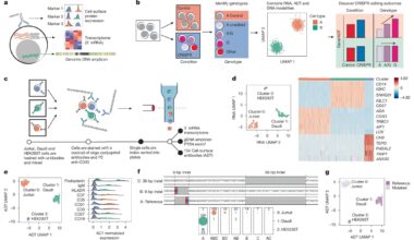 CRAFTseq: A New Tool for Mapping Disease Variant Effects in CRISPR-Edited Cells
