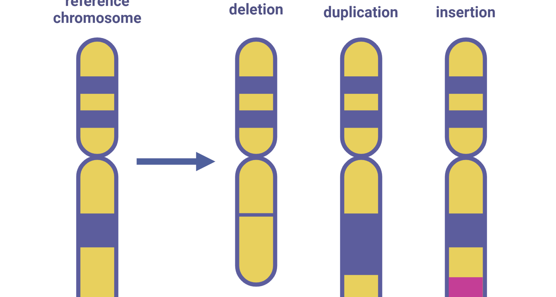 Inherited Structural Variants Linked to Pediatric Cancer