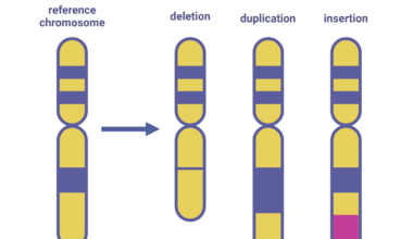 Inherited Structural Variants Linked to Pediatric Cancer