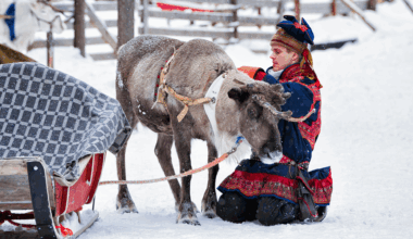 A man with light skin wears a red-and-blue traditional Saami outfit while tending to a reindeer in the snow