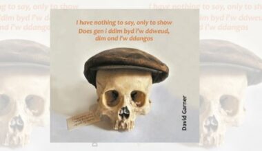 I have nothing to say, only to show by David Garner