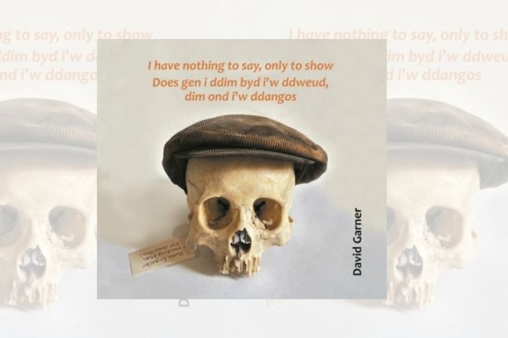 I have nothing to say, only to show by David Garner