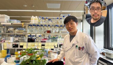 Plants' Self-Attack Mystery: Genetic Conflict Unveiled