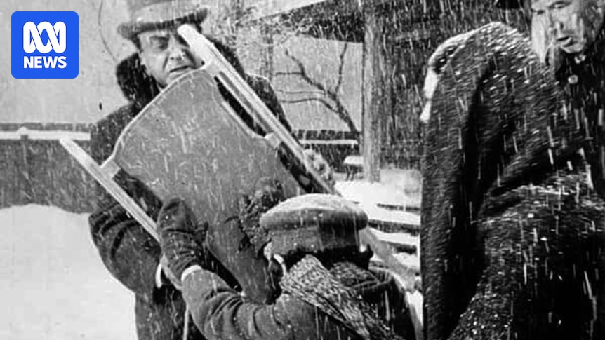 Citizen Kane's iconic Rosebud sled sells at auction for more than $22 million