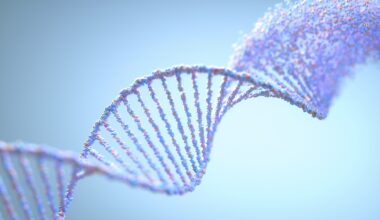 an illustration of a strand of DNA