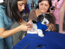 Rabies Pre-exposure Prophylaxis Guidance | Rabies