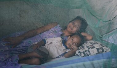 Timor-Leste certified malaria-free by WHO