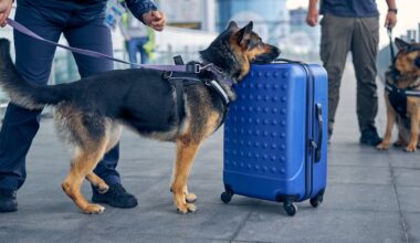 Going on holiday? What you need to know about taking your meds with you