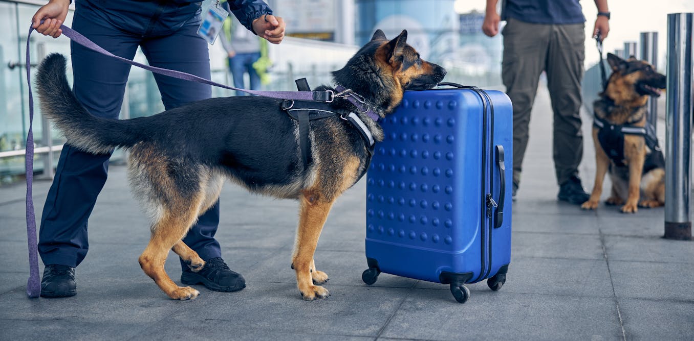 Going on holiday? What you need to know about taking your meds with you