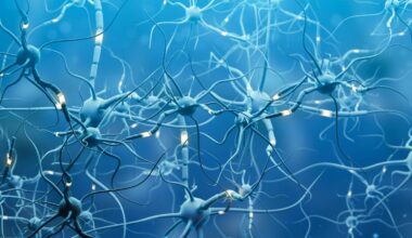 There is no known cure for ALS, but medical tourism exploits desperation for profit