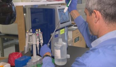 How researchers are mapping genetics in N.B. to detect inherited diseases sooner