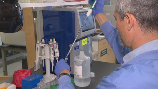 How researchers are mapping genetics in N.B. to detect inherited diseases sooner