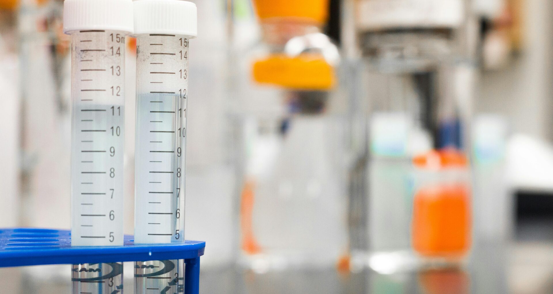 Surprising Structure Discovered In Disordered Protein