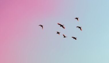 MicroRNA Found Key to Male Bird Survival