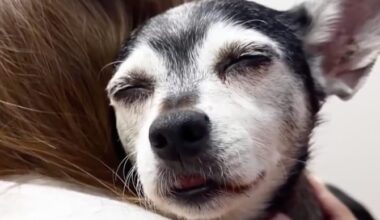 DNA test reveals incredible twist