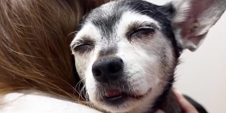 DNA test reveals incredible twist