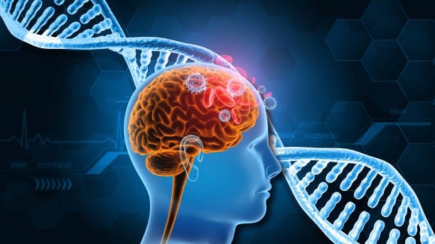 Genes and the brain: The role of testing in early diagnosis