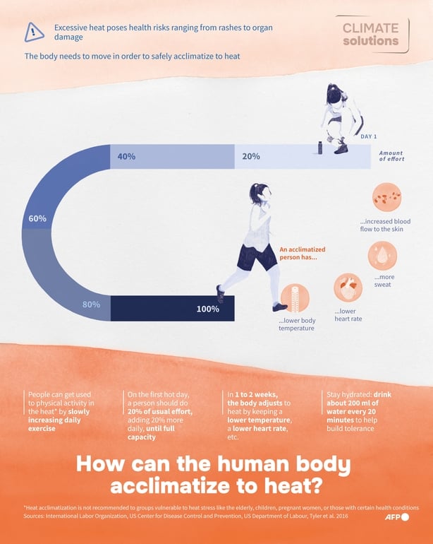 Infographic showing the process of heat acclimatisation