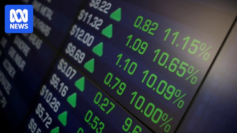 Investors 'not quite euphoric' but close, as share market rollercoaster roars on