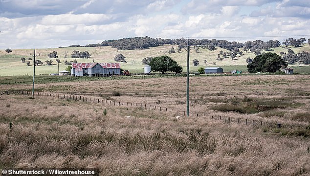 Crookwell is surrounded by hills (pictured) with many topped with dozens of wind turbines