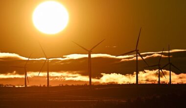 Diesel generators are being installed in the 'renewable energy powerhouse' of NSW following blackouts, despite being surrounded by wind turbines