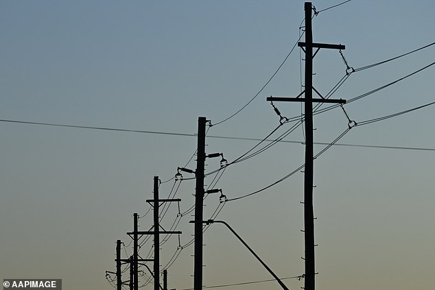 Crookwell's power is supplied by a single powerline, which causes blackouts when damaged by storms or other events