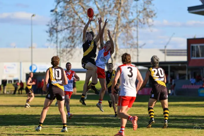 What if Griffith was your next big adventure in 2026?