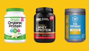 Guide: 4 Kinds Of Protein Powders 2025