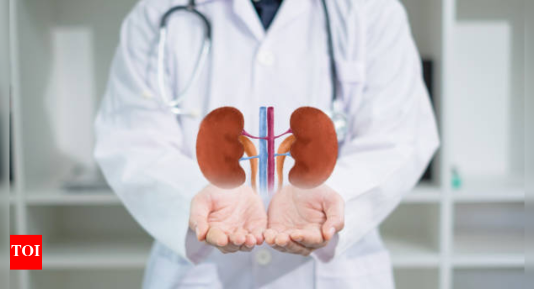 Kidneys and creatine: How to make sure the supplement doesn't backfire on kidney health |