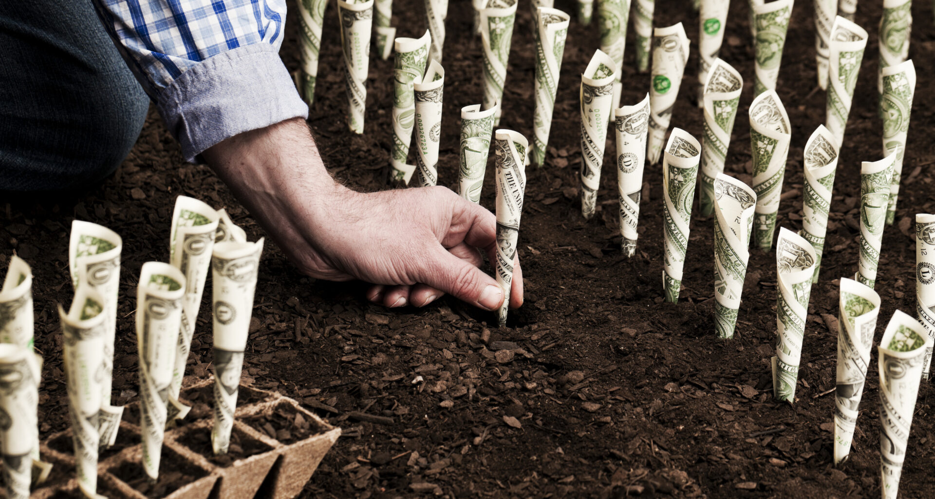 Got $1,000? 3 High-Yield Healthcare Stocks to Buy and Hold Forever