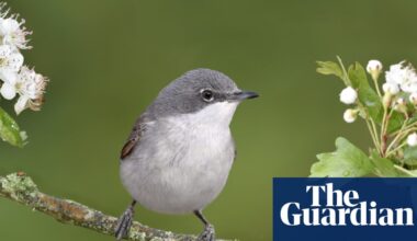 The best recent poetry – review roundup | Books