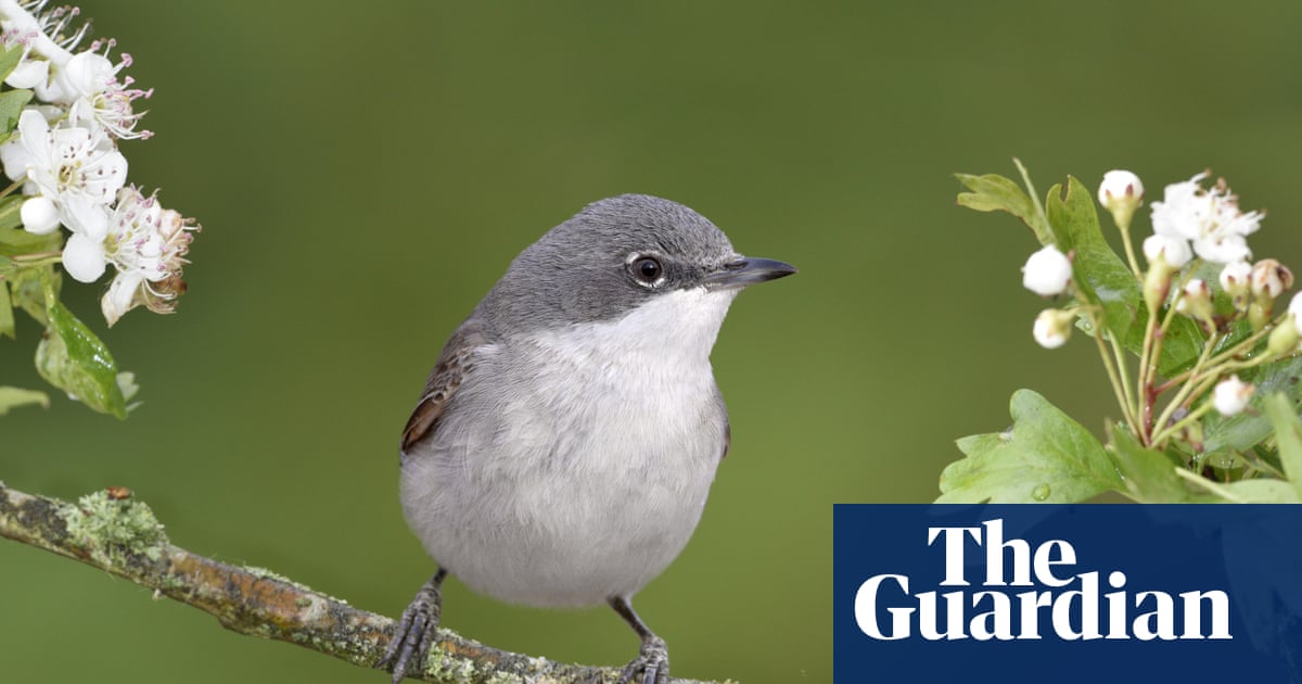 The best recent poetry – review roundup | Books