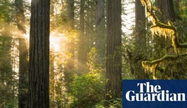 Look up: five hopeful novels about the climate crisis | Books